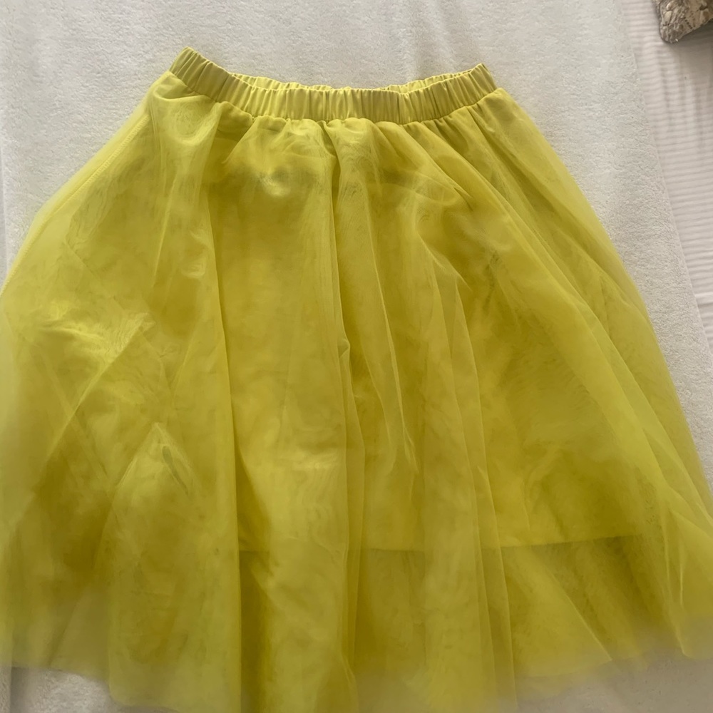 Tulle Skirt